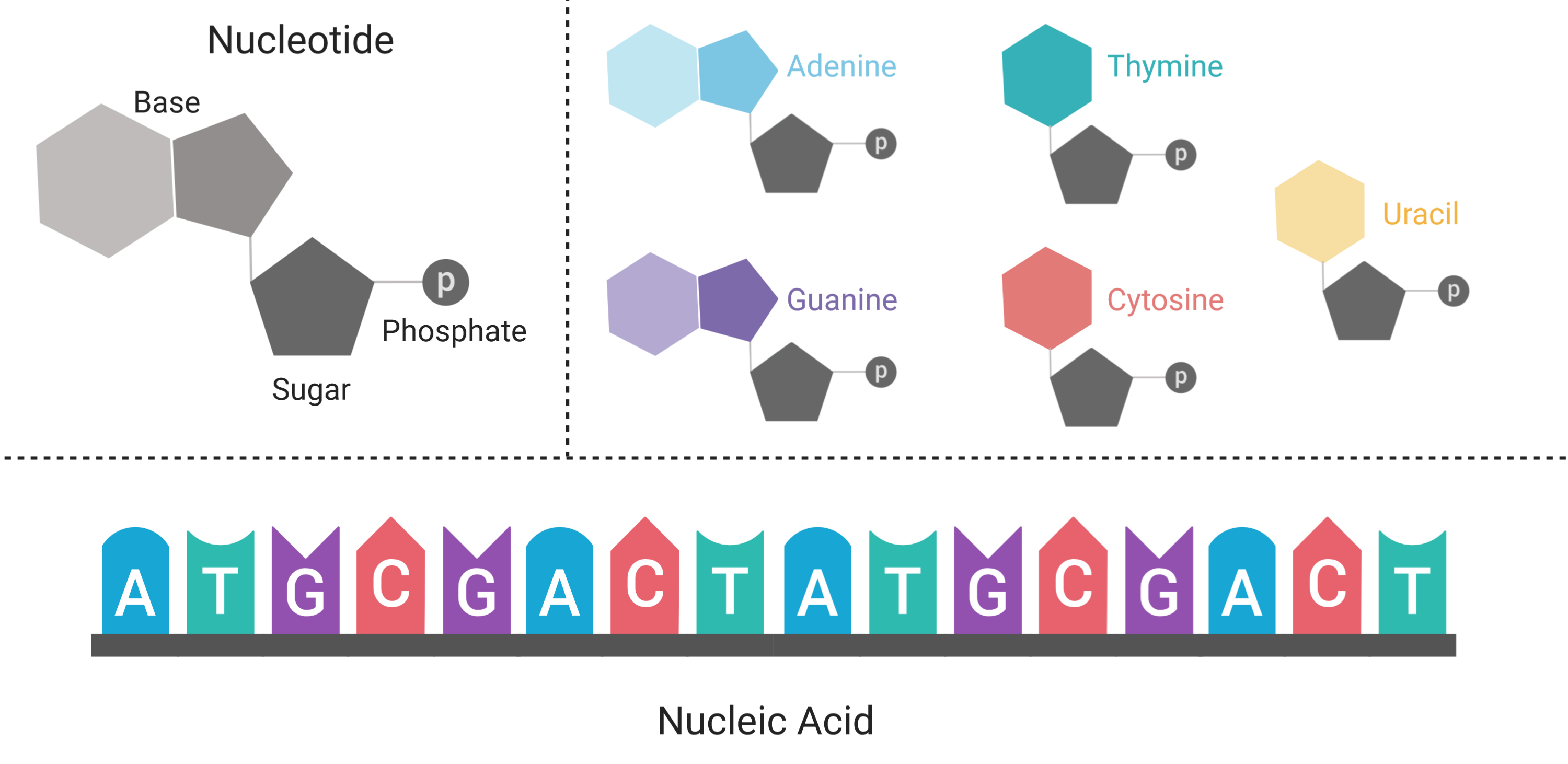 Glossary Genome Sciences Centre